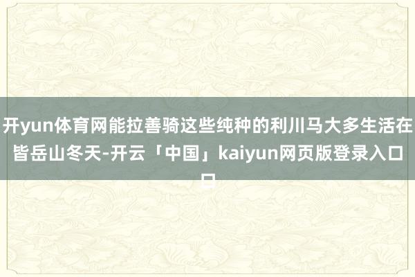 开yun体育网能拉善骑这些纯种的利川马大多生活在皆岳山冬天-开云「中国」kaiyun网页版登录入口