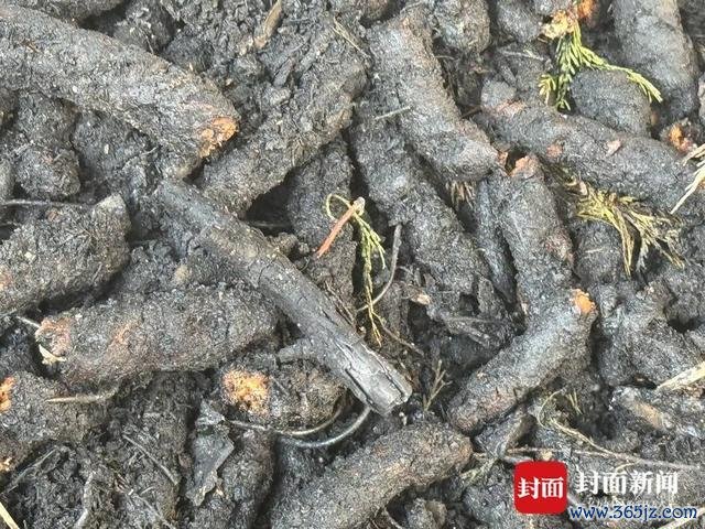 作念腊肉激发失火上千斤一说念报废 熏房事故引眷注